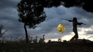 AGNES MEYER-BRANDIS "THE MOON GOOSE COLONY" (2012), VIDEOSTILL AGNES MEYER-BRANDIS "THE MOON GOOSE COLONY" (2012), VIDEOSTILL (AUSSCHNITT) © AGNES MEYER-BRANDIS & IMAI, 2015