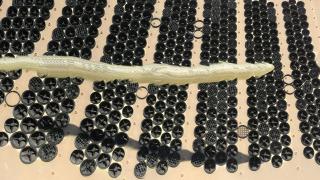Lukas Marxt, Imperial Irrigation, 2020 Lukas Marxt, Imperial Irrigation, 2020